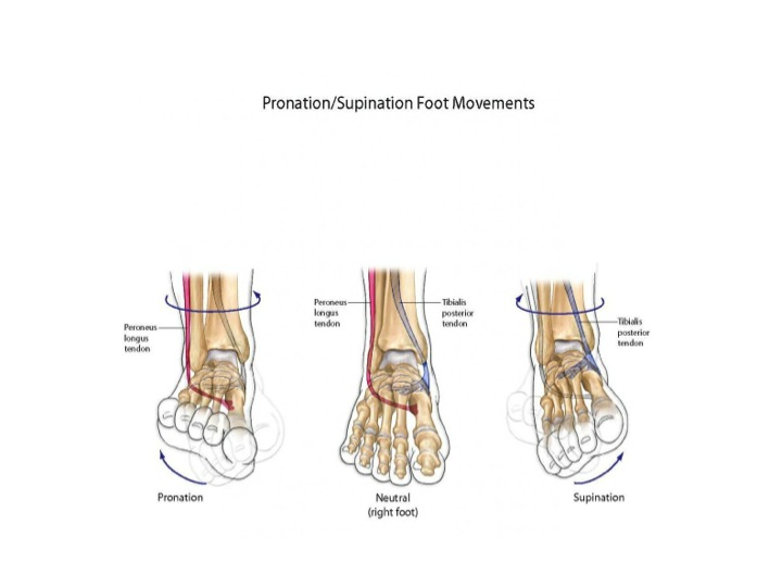 Foot moving in various directions
